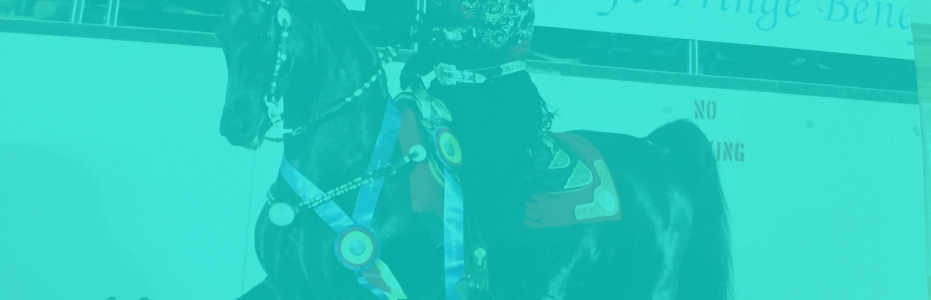 woman on a black horse breadcrumb