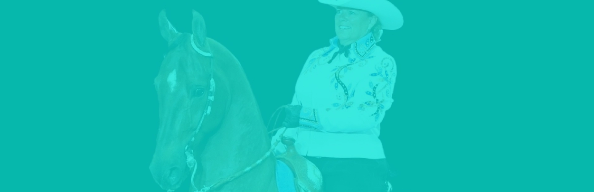 woman on a brown horse